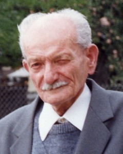 Lipcsey Gyula